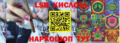 ECSTASY Камышлов