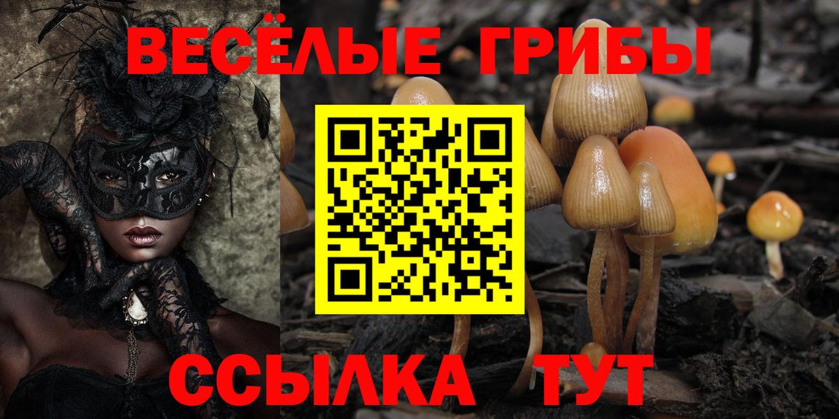 цены   Галлюциногенные грибы MAGIC MUSHROOMS  Вход с VPN  Кузнецк 